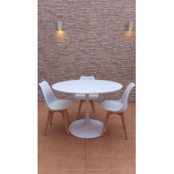 Cadira pata fusta i polipropilé